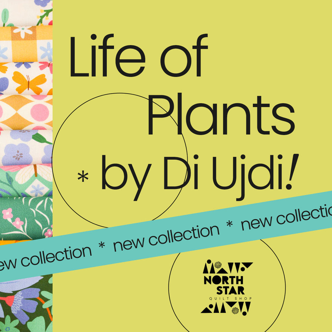 Explore the Life of Plants fabric collection at North Star Quilt Shop. Bursting with vibrant colors and intricate botanical designs, each fabric can bring your love for the natural world to life in your quilting projects.