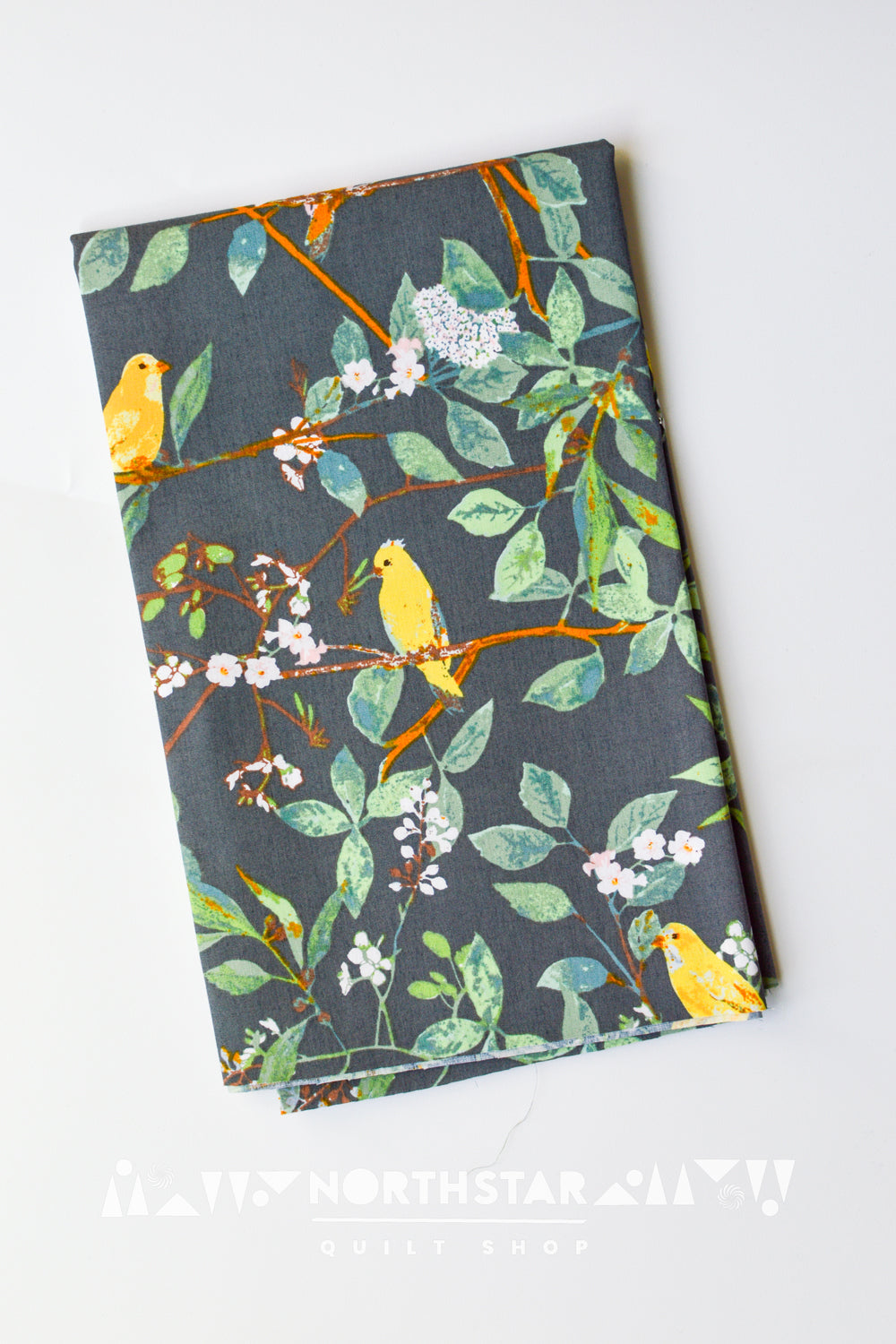Melodic Plumage Night | Art Gallery Fabrics Quilting Cotton Yardage