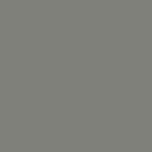Ash | Art Gallery Fabrics Solid Quilting Cotton Yardage