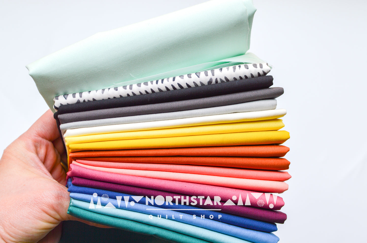 Birdwatcher’s Project Quilt Kit | North Star Quilt Shop Curated Quilt Kit