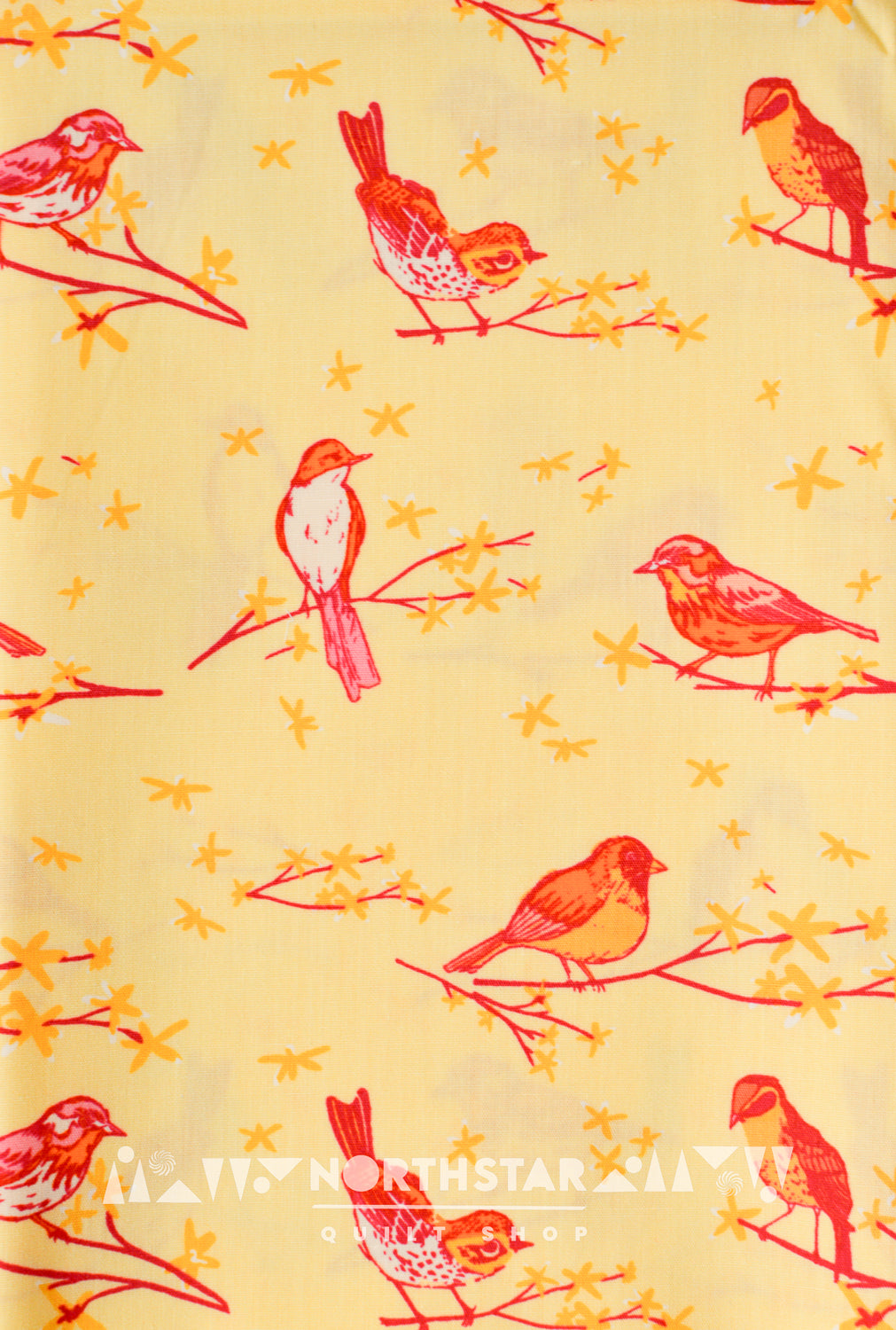 Dawn Chorus | Art Gallery Fabrics Quilting Cotton Yardage