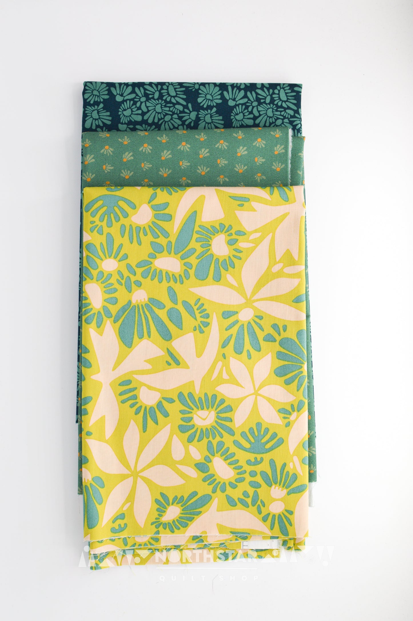 Evolve Mini Collection | Art Gallery Fabrics Cotton Quilting Bundle