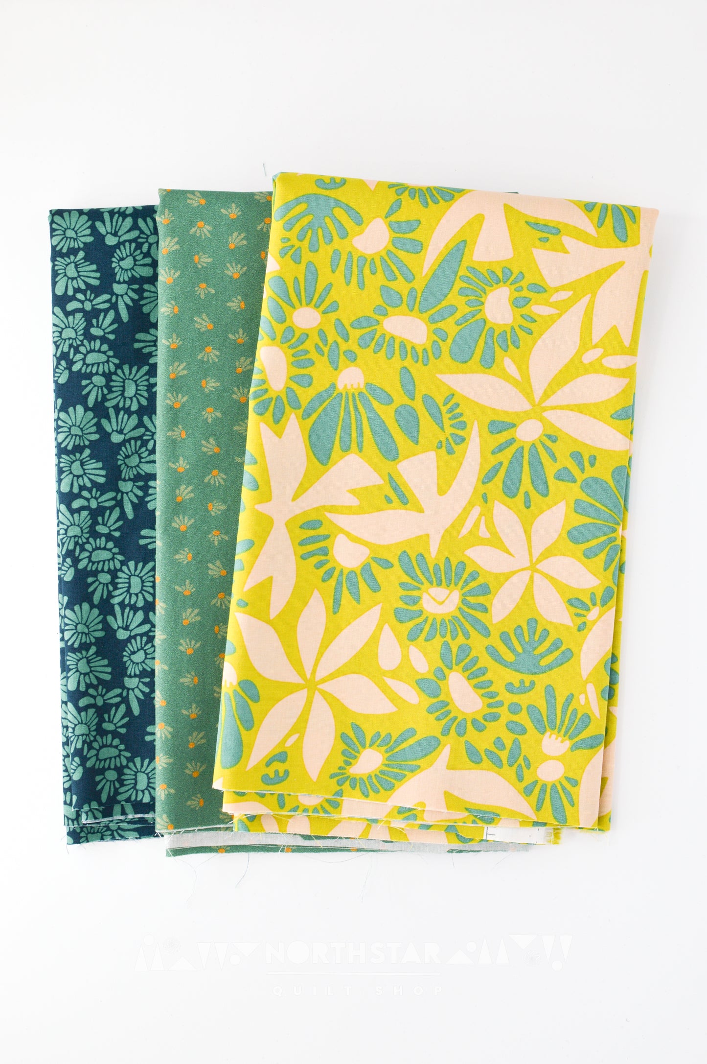 Evolve Mini Collection | Art Gallery Fabrics Cotton Quilting Bundle