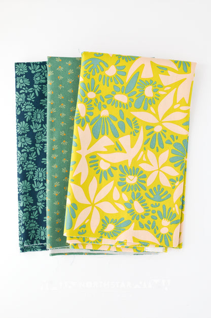 Evolve Mini Collection | Art Gallery Fabrics Cotton Quilting Bundle