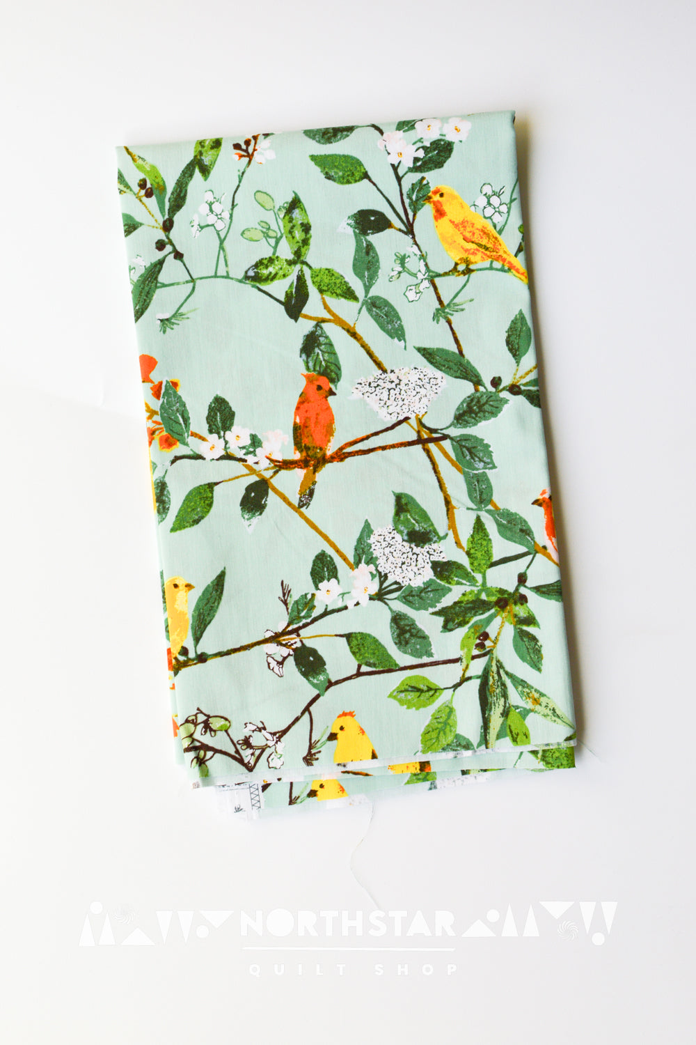 Melodic Plumage Day | Art Gallery Fabrics Quilting Cotton Yardage