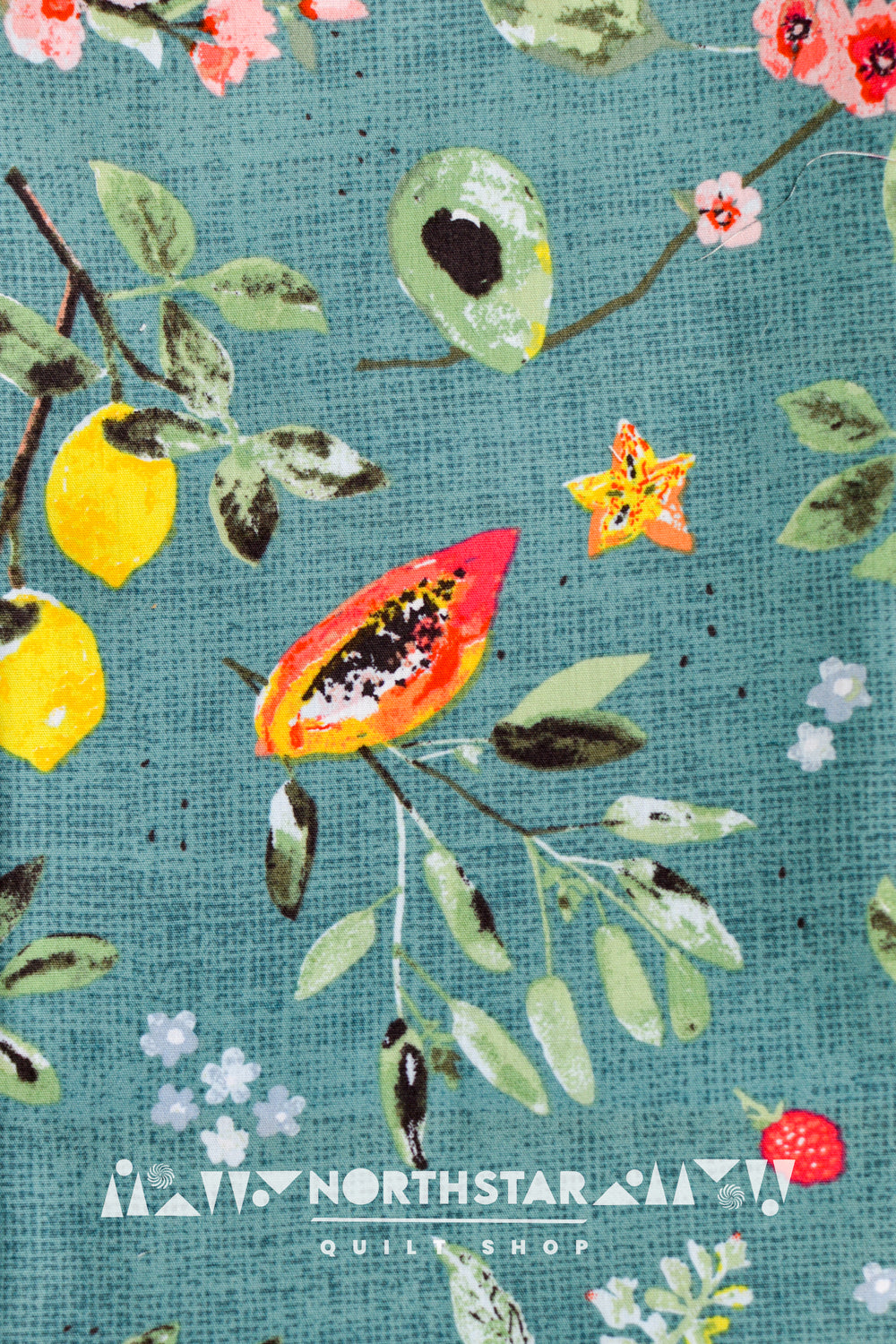 Orchard Harvest | Art Gallery Fabrics Quilting Cotton Yardage